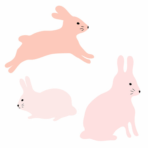 Conejos Rosas